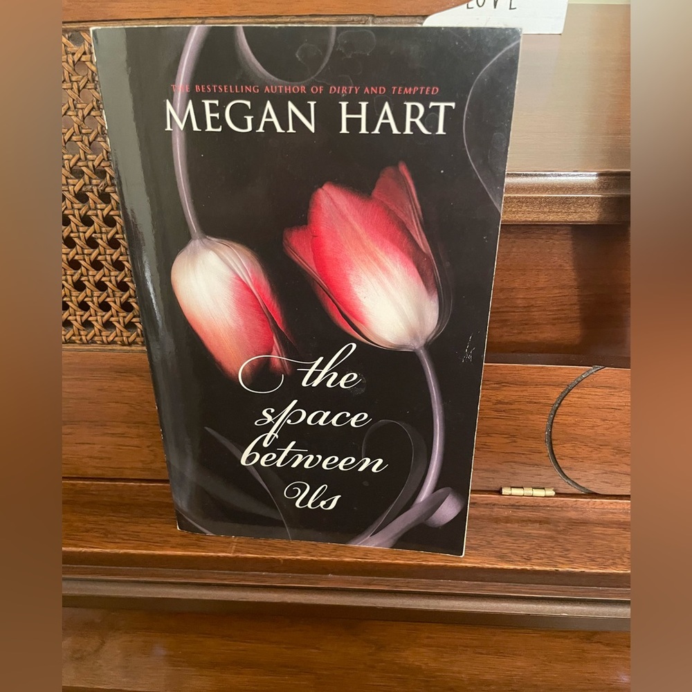 The Space Between Us By Megan Hart